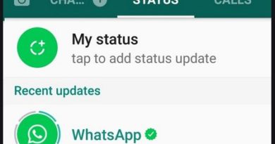 Whatsapp status